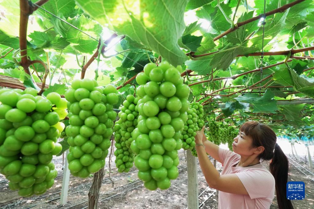 百家乐大全